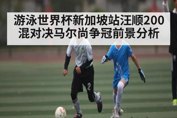 游泳世界杯新加坡站汪顺200混对决马尔尚争冠前景分析